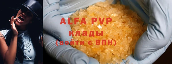 твердый Абаза
