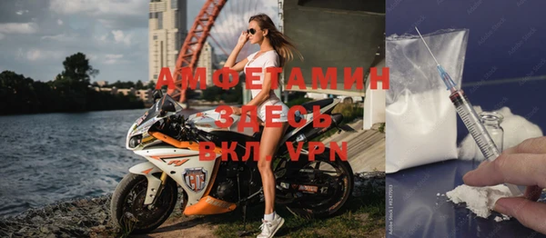 прущие грибы Алзамай