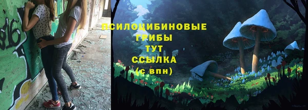 прущие грибы Алзамай