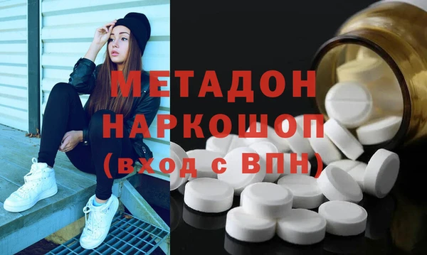 прущие грибы Алзамай