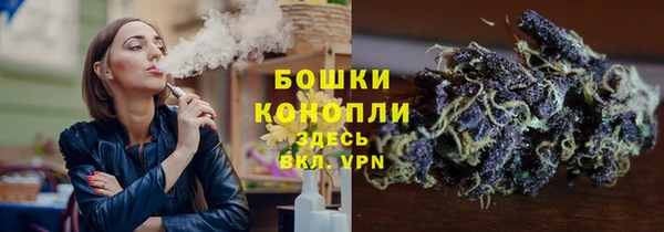 прущие грибы Алзамай